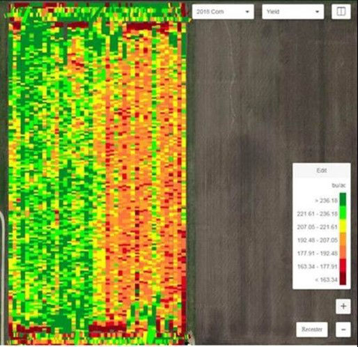 Figure 2. Map showing benefit of a Delaro® 325 SC Fungicide application (12 fl oz/acre) at VT/R1 in 2018 (left) versus untreated (right) under heavy tar spot pressure. Yield difference in favor of the fungicide treatment was 37 bu/acre. (Bayer Crop Sciences Research Farm, Waterman, IL, 2018).